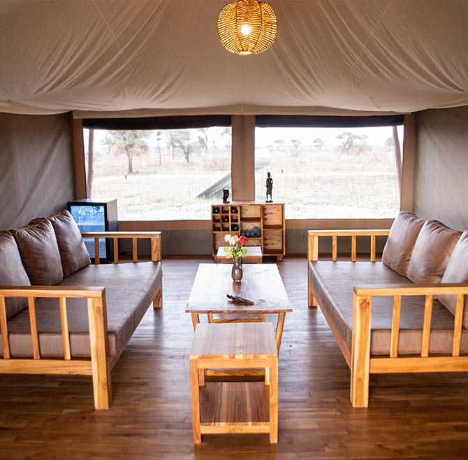 Luxury Serengeti safari experience with golden sunrise, wildlife, and grasslands at Manya Luxury Camps