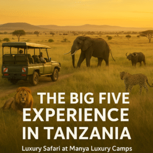 The Big Five Experience in Tanzania – luxury safari jeep with elephant, lion, leopard, and buffalo at Manya Luxury Camps during sunset.