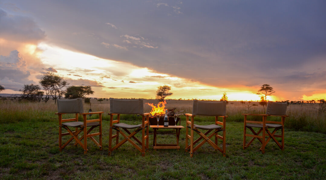 Best time to visit Serengeti National Park – Manya Luxury Tented Camp