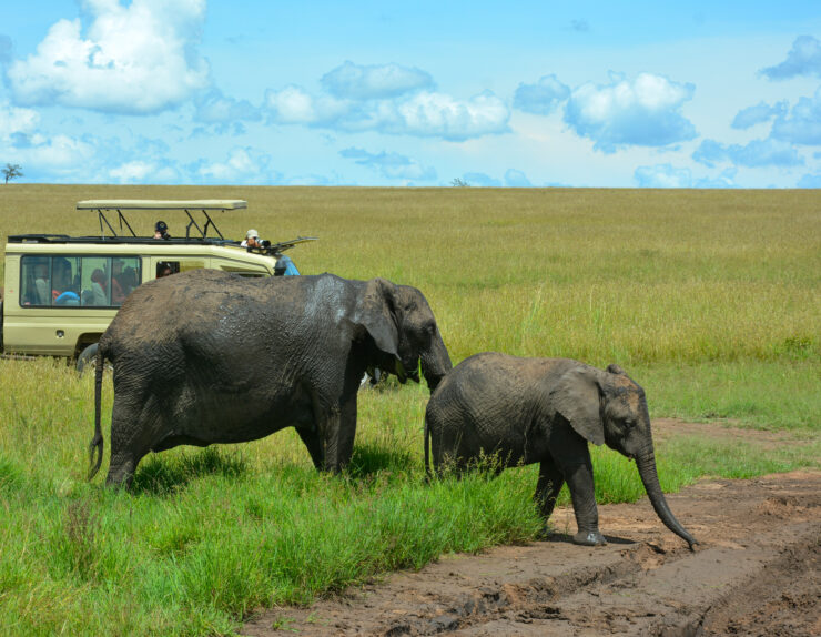 Luxury and Comfort in the Wilderness