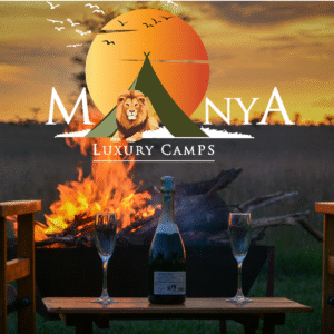 Discover the Serengeti Like Never Before – luxury safari view of sunrise and wildlife at Manya Luxury Camps