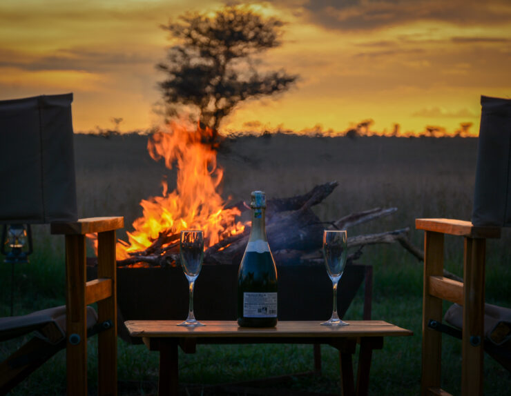 Serengeti Night Safari Experience under the starry African sky with wildlife roaming freely.