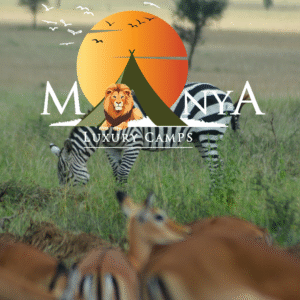 Journey Made Simple luxury safari experience at Manya Luxury Camps in the Serengeti