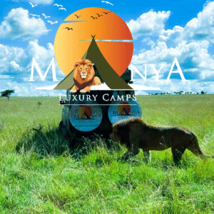 Sunset campfire view at Manya Luxury Camps in the Serengeti