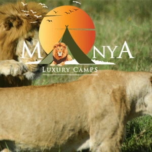 Luxury safari tent at Manya Luxury Camps in the Serengeti