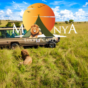 Serengeti dawn experience at Manya Luxury Camps with golden sunrise