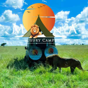 Adventure Awaits in the Serengeti at sunrise over the golden plains