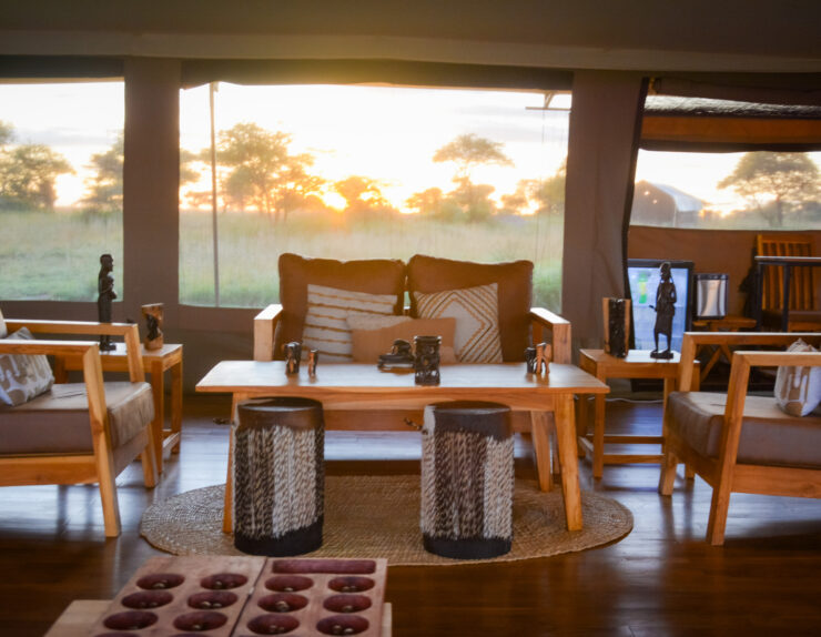 Luxury sunrise safari in Serengeti at Manya Luxury Camps