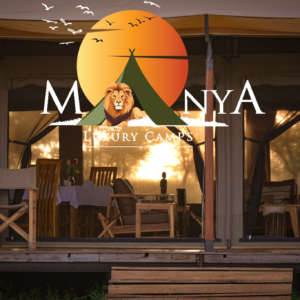 Luxury sunrise safari in Serengeti at Manya Luxury Camps