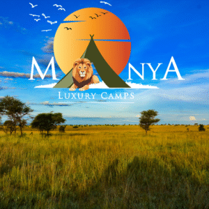 Serengeti Nature Melody