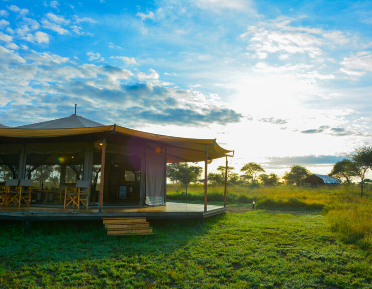 Serengeti Nature Melody