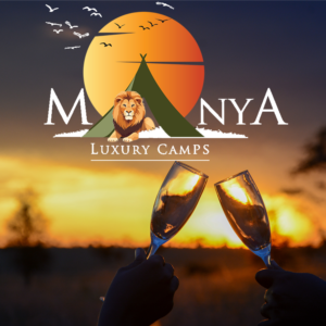 Serengeti Night Experience