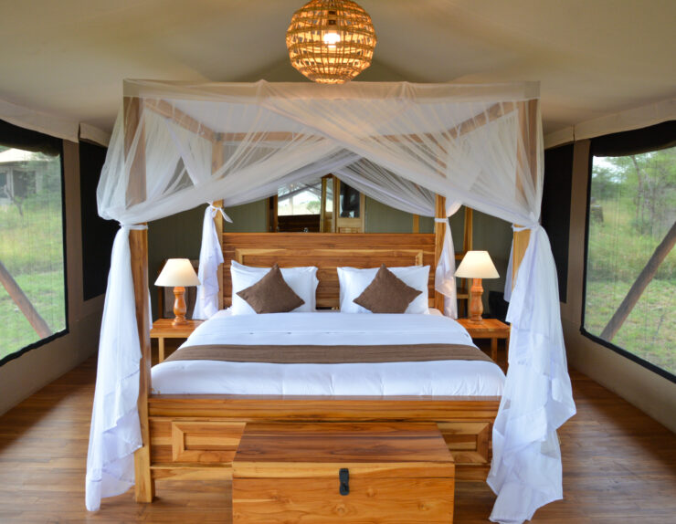 Serengeti Sunrise