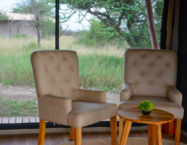 Serengeti Sunrise