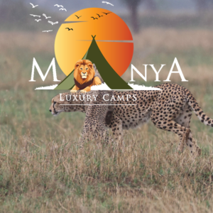 Sunrise Safari Serengeti over golden plains