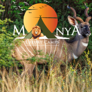 Whispers of the Wild Await