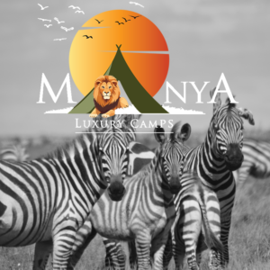 Big Five Safari in Serengeti with elephants and lions in golden savanna