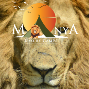 Great Migration Serengeti with wildebeest crossing the Serengeti plains