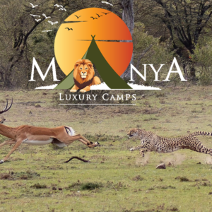 Luxury Serengeti Safari
