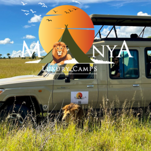 Serengeti Great Migration safari with wildebeest and zebras crossing the plains