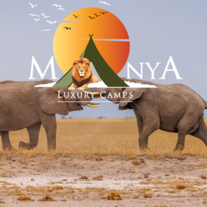 Serengeti luxury safari at Manya Luxury Camps