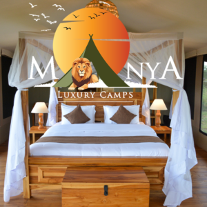 Serengeti safari experience at sunrise with open plains and wildlife in Tanzania.