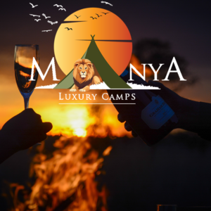 Serengeti sunset safari with golden sky over vast savannah at Manya Luxury Camps, Tanzania.