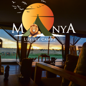 Sunrise above the Serengeti with golden light over endless plains