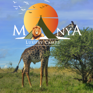 Great Migration Serengeti Safari with wildebeest crossing open plains