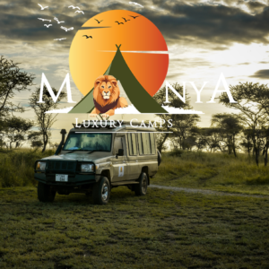 Guided Serengeti Safari Experience with expert wildlife guide during game drive
