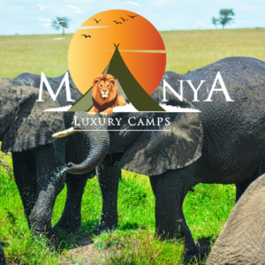 Luxury Safari Camp in Tanzania