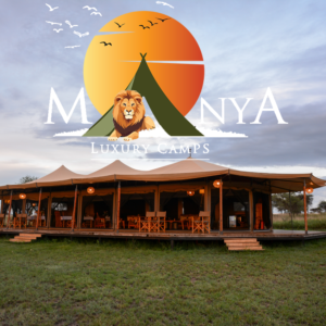 Luxury safari camp in Tanzania with Serengeti savanna views