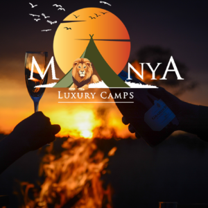 Luxury Serengeti safari view with golden plains at sunrise