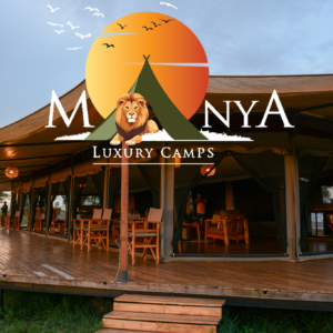 Luxury Serengeti Safari Experience at Manya Luxury Camps during golden sunrise