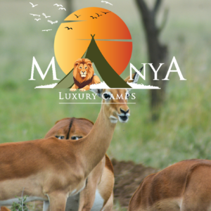 Manya Luxury Camps Serengeti luxury safari tents in the wild