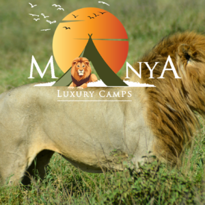 Serengeti Great Migration Safari with wildebeest and zebras moving across the Serengeti plains near Manya Luxury Camps