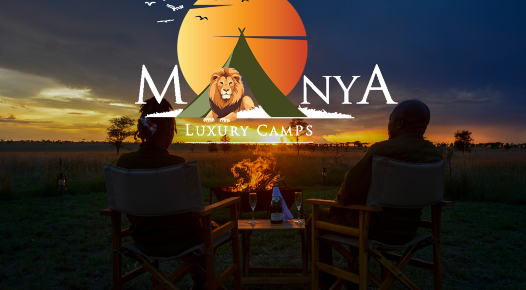 Serengeti Night Safari Experience under the starry African sky with wildlife roaming freely.