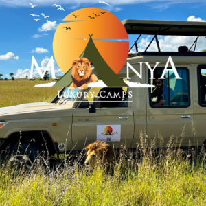 Serengeti Safari Adventure 4x4 vehicle in the savannah