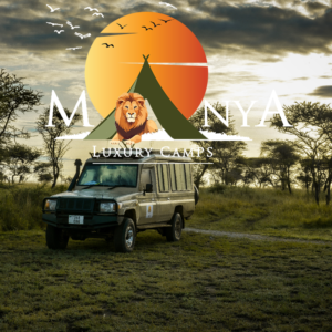 Expert Serengeti safari guides leading guests through the savannah at Manya Luxury Camps