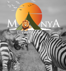 Manya Luxury Camps Serengeti: The Quiet Beginning of Adventure
