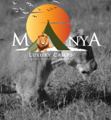 Manya Luxury Camps Serengeti – Discover the Untold Beauty