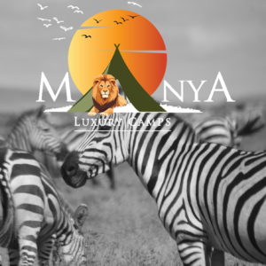 Manya Luxury Camps Serengeti luxury safari tents in Tanzania