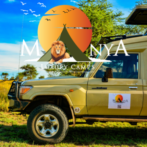 Manya Luxury Camps Serengeti luxury safari tents view