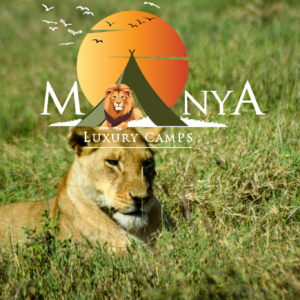 Manya Luxury Camps Serengeti safari journey experience