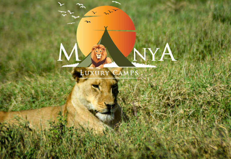 Manya Luxury Camps Serengeti safari journey experience