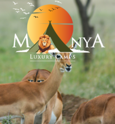 Manya Luxury Camps Serengeti: A Warm Welcome to the Wild