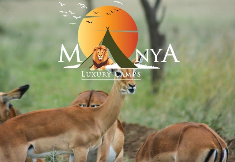 Warm welcome at Manya Luxury Camps Serengeti Tanzania